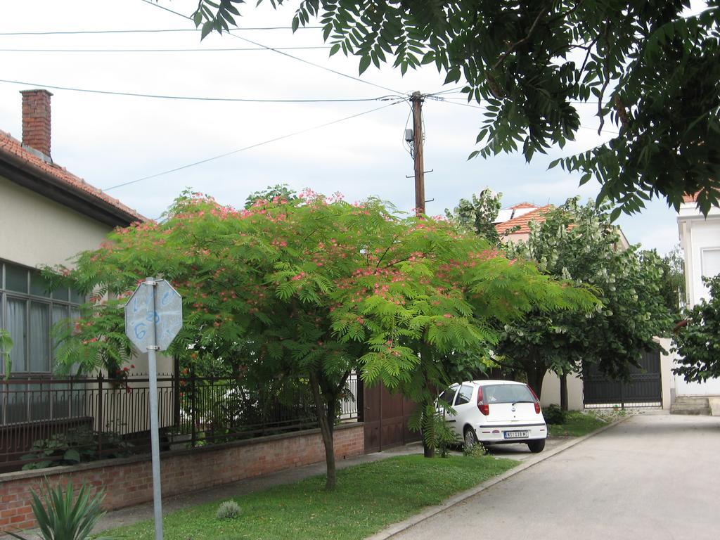 Green Apartment Novi Sad Esterno foto
