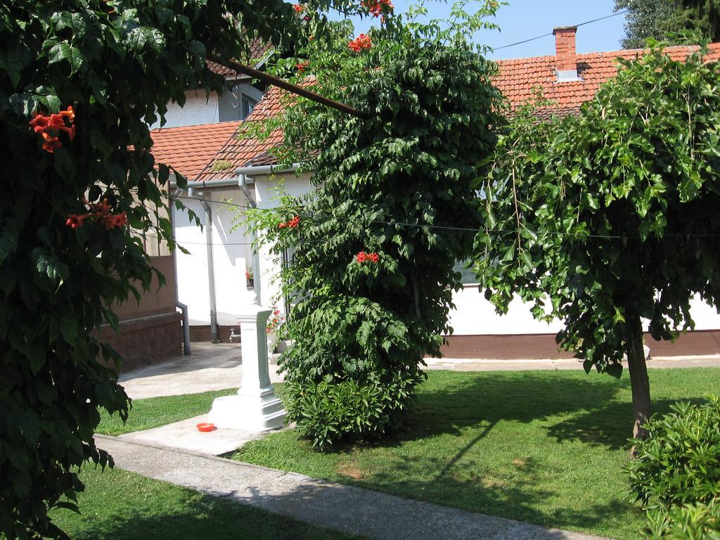 Green Apartment Novi Sad Esterno foto