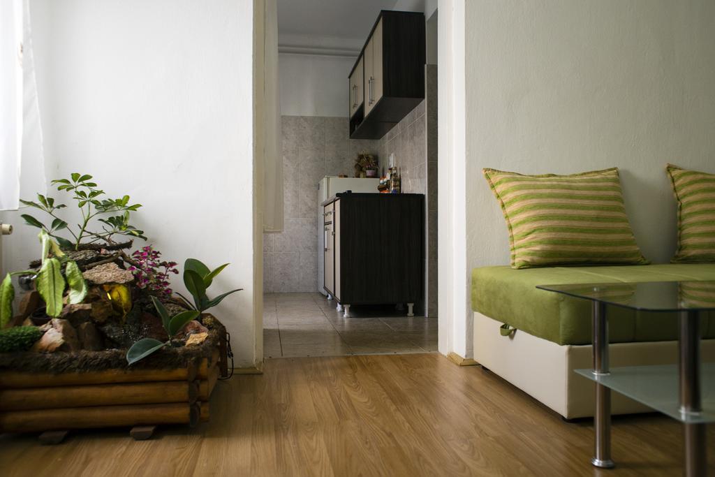 Green Apartment Novi Sad Esterno foto